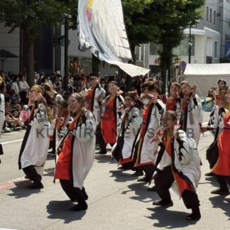 釧根チーム迫力の演舞　ＹＯＳＡＫＯＩ最高潮【札幌市】(2026-06-14)