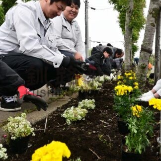 色鮮やかな花植える　渡辺建設工業【根室市】(2026-06-14)