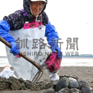 幻の珍味「オオノガイ」手掘り漁スタート【根室市】(2026-06-16)