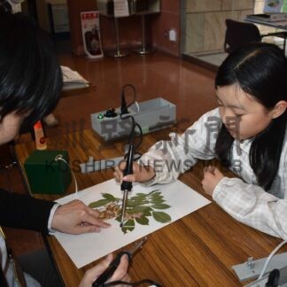 春採湖の植物ぺたり　博物館が催し、標本体験【釧路市】(2026-06-17)