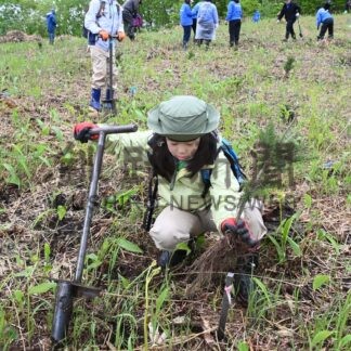 トドマツ１８００本、大きく育て　町など植樹祭【中標津町】(2026-06-18)
