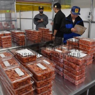 浜ゆでシマエビ初出荷　湾中漁協が３６７㌔【根室市】(2026-06-24)