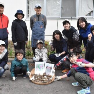 釧路市内団体　花壇に彩り【釧路市】(2026-07-04)
