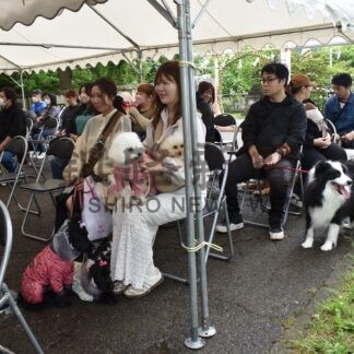 ペットの健康祈願　鳥取神社(2026-07-06)