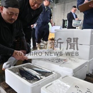 サンマ１㌔過去最高４４万円　釧路港で初水揚げ【釧路市】(2026-07-10)
