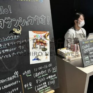 水族館でキタサンショウウオ生育順調　標茶で卵採取、２００匹ふ化【札幌市】_1(2026-07-10)