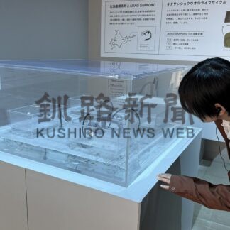 水族館でキタサンショウウオ生育順調　標茶で卵採取、２００匹ふ化【札幌市】(2026-07-10)