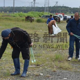 港のごみ拾いに汗　市漁協青年部連協【根室市】(2026-07-14)