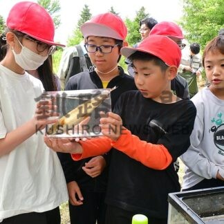きれいな水 酪農、漁業支える　別海中央、野付小児童 自然守る取り組み学ぶ　釧路開建が生き物調査【別海町】(2026-07-15)