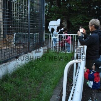 夜の猛獣の姿観察　動物園まつり、家族連れでにぎわう【釧路市】(2026-07-28)