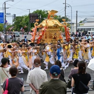 金色の大みこし巡幸　駅前７年ぶり復活　根室金刀比羅神社例大祭本祭【根室市】(2026-08-09)