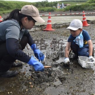 アサリ掘り楽しむ　歯舞の潮干狩り【根室市】(2026-08-09)