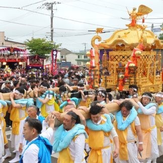 みこし威勢良く　根室金刀比羅神社例大祭【根室市】(2026-08-10)