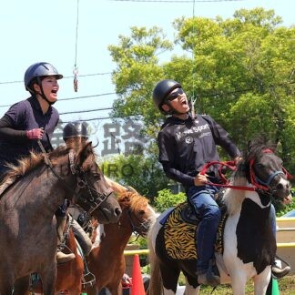 揺れで参加者苦戦、多彩な競技楽しむ　根釧乗用馬生産者馬術大会【根室市】(2026-08-11)