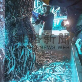 公海サンマ初水揚げ　花咲港、大型船１隻　週明けから本格化【根室市】(2026-08-16)