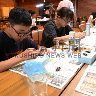 昆虫標本作りに挑戦　博物館で夏休み体験講座【釧路市】(2026-08-17)