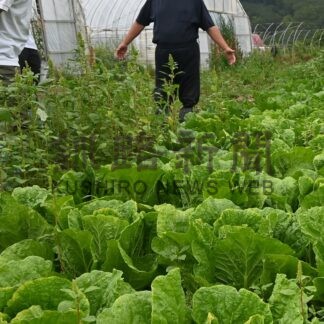 猛暑影響なく生育良好　釧路総合振興局、農作物ほ場を視察【釧路市】(2026-08-20)