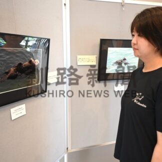 世界のラッコ見に来て　らっこばやしさん写真展【浜中町】(2026-08-21)