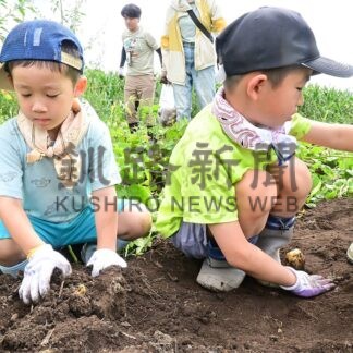 〝新じゃが〟収穫楽しい　根室の農場で体験、クイズで学びも【根室市】(2026-08-30)