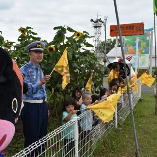 ヒマワリ ２保育園で開花　絆プロジェクト、「交通安全守ります」【標茶町】(2026-09-05)