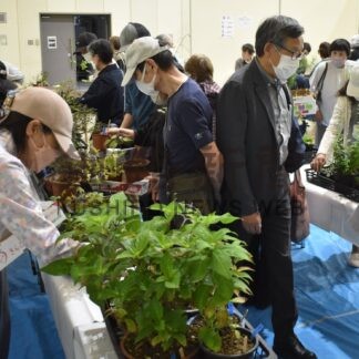山野草求め愛好家でにぎわう　展示会【釧路市】(2026-09-06)