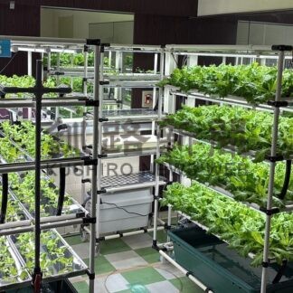 農業と福祉分野連携　北電が小型植物工場活用【札幌市】(2026-09-11)