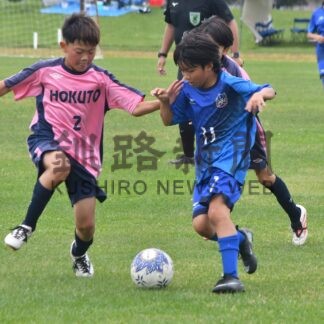 ＳＣ釧路が釧根頂点　サッカー釧新旗Ｕ１２　根室北斗ＦＣに５─０【釧路市】_1(2026-09-15)