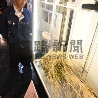 「シマクイナ」の巣と卵展示　絶滅危惧種の鳥類、国内２例目の発見　釧路市立博物館【釧路市】(2026-09-18)