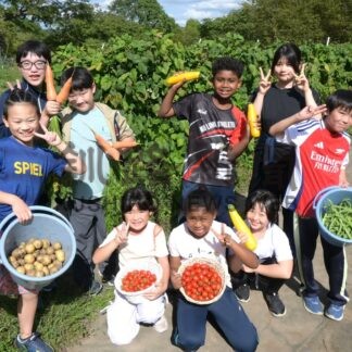 児童生徒育てた野菜販売　山花小中、レシピで食べ方も紹介【釧路市】(2026-09-24)
