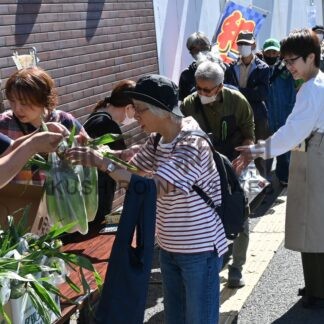 白いトウモロコシ求めて長蛇の列　釧路和商市場【釧路市】(2026-09-26)