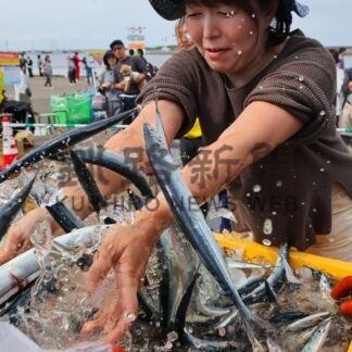 来場者つかみ取り挑戦　さんま祭りにぎわう【根室市】(2026-09-28)