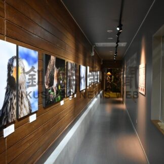 幻想的風景や野生動物活写　阿部さん作品展【鶴居村】(2026-10-11)