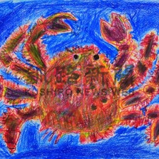根室の魚 生き生き　こども絵画コン、櫻井佳乃ちゃん（沖縄）最優秀【根室市】_1(2026-10-16)