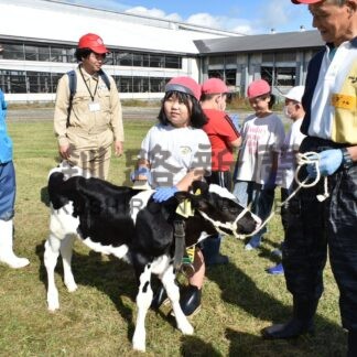 子牛と触れ合い命の尊さ学ぶ　小学生が酪農体験【標茶町】(2026-10-17)