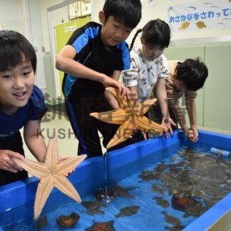 生きた魚に子供ら歓声　水産研究機構一般公開【釧路市】(2026-10-19)