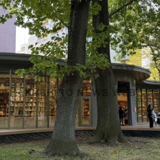読書の秋はこども本の森へ　建築家の安藤氏設計・寄贈図書館　大人たちも魅了【釧路市】_1(2026-10-23)