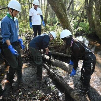 タンチョウの採食地整備　ＪＡＬ職員らボランティア活動【鶴居村】(2026-10-25)